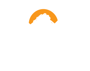 NAVEGANDO A TRAVÉS DEL DESASTRE Logo