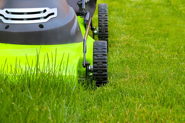 Electric lawnmowers are an environmentally friendly alternative to gas powered lawn tools.