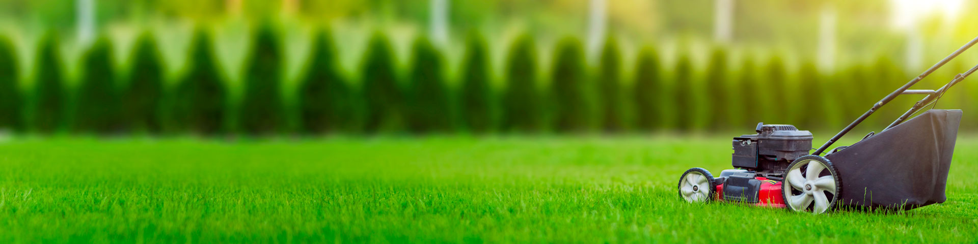 Lawnmower on grass in front of shrubs