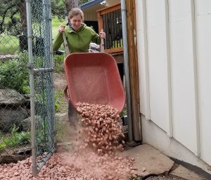 Woman dumping gravel up from a wheelbarrow up against house