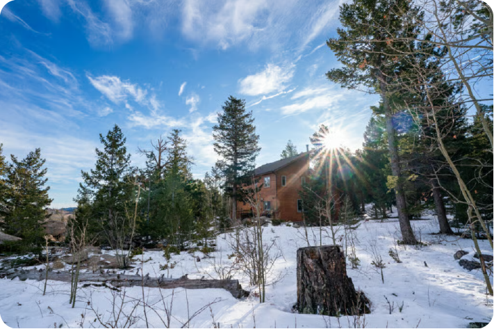 House in a forest area with snow on the ground