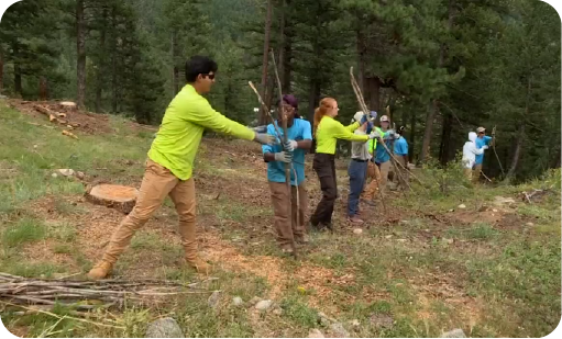 Group of young adults picking up sticks in a forest