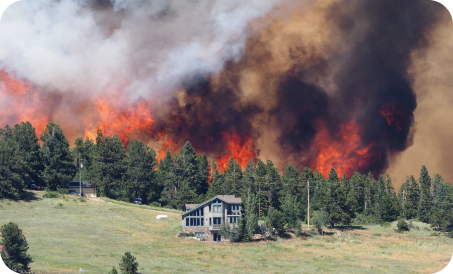 Wildfire in a forest behind a house