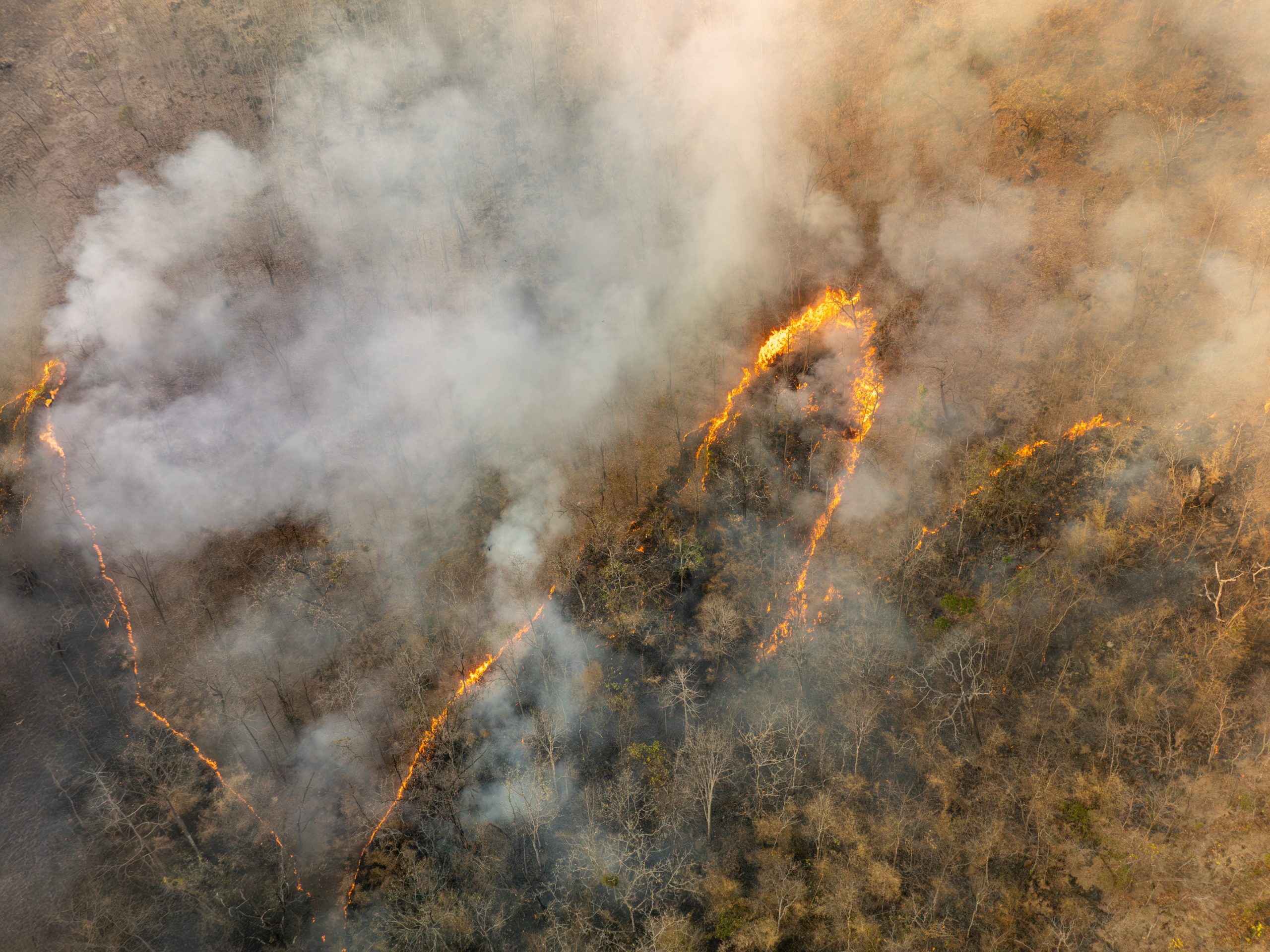Smoke coming off of wildfire