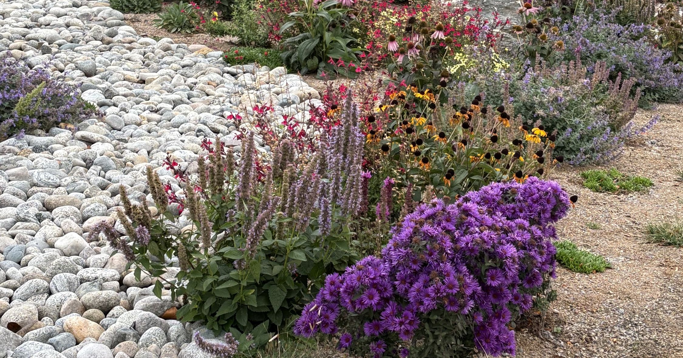 Assortment of flowers mixed in with stones to break up potential fire pathways