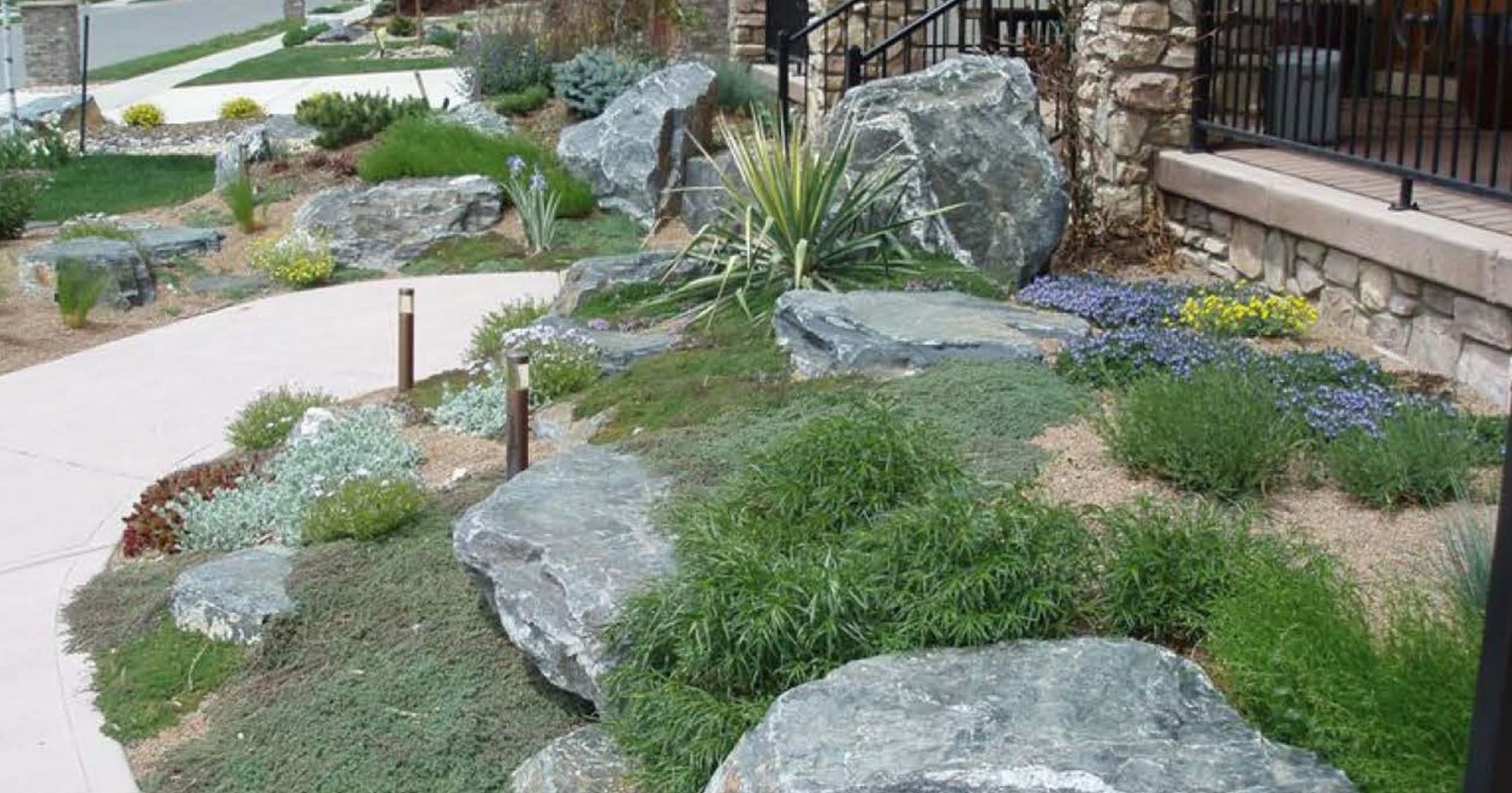 Various plants outside of a house grouped in a plant island